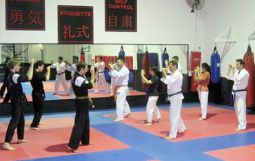 Adult Freestyle Martial Arts